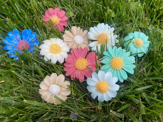 Pack of 10 Daisy floating candles